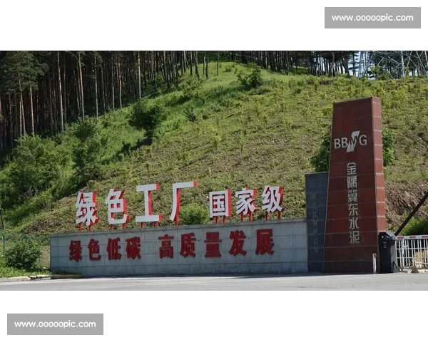 澳柯玛创新驱动绿色智能制造引领家电产业高质量发展新格局