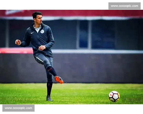 战术大师还是球员盛宴法甲年度最佳阵容解读！