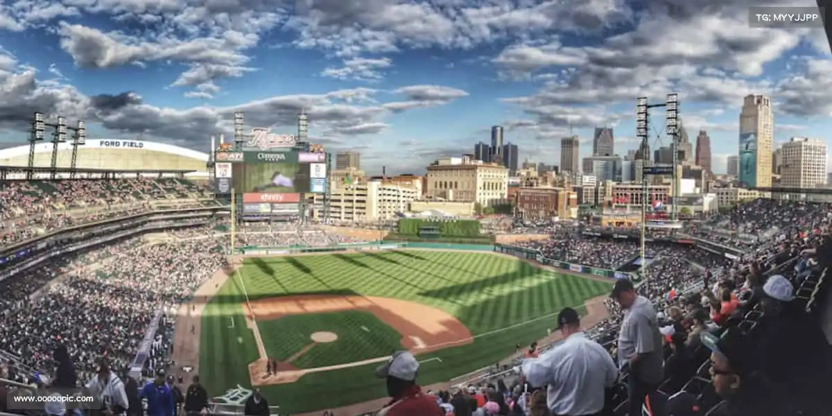 为什么选择我们